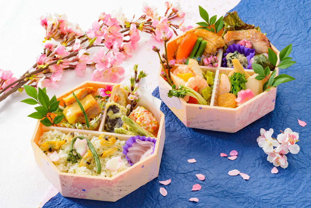 春の特別折詰弁当